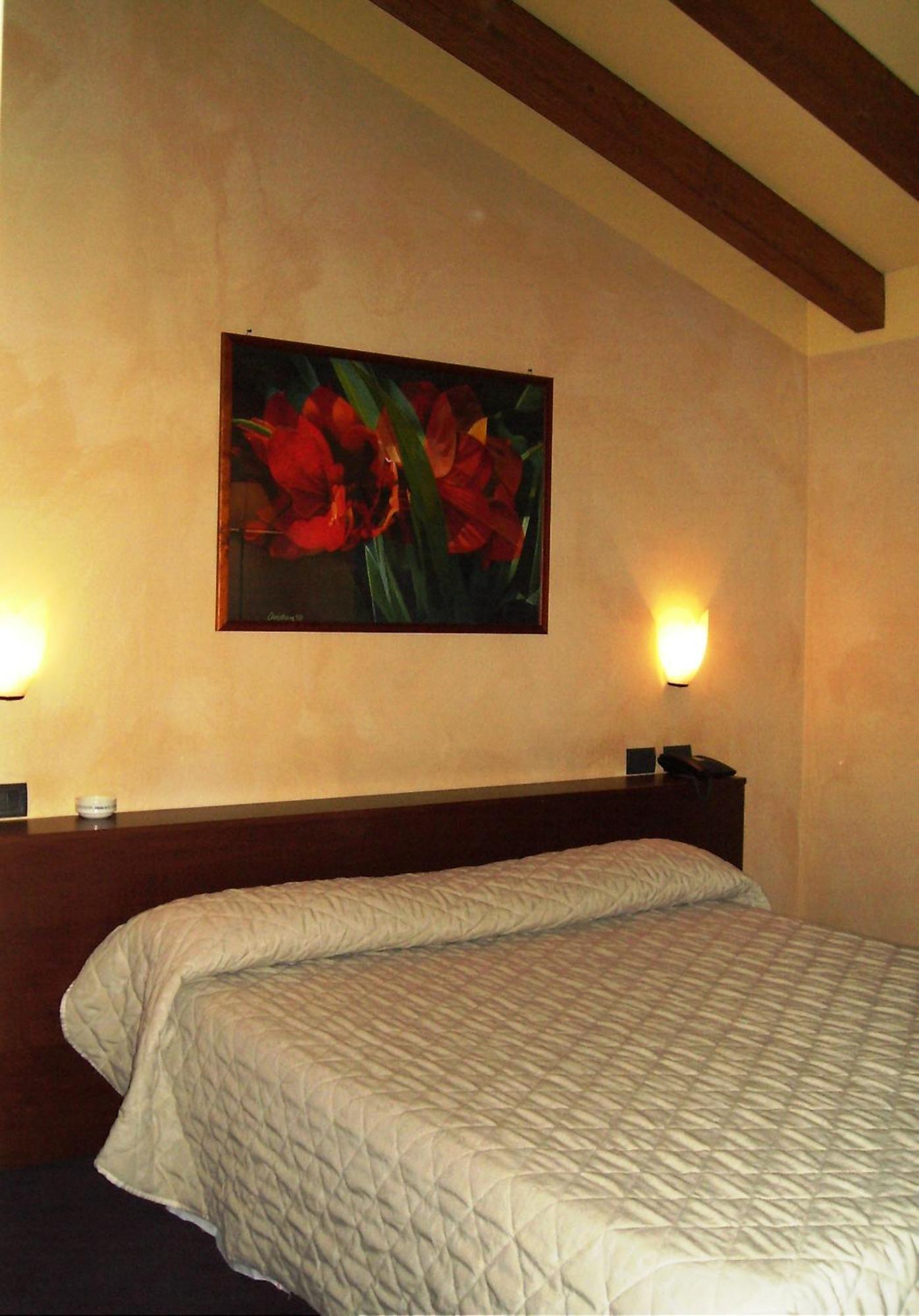 Hotel Parco Castelvetro Piacentino ห้อง รูปภาพ